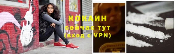 a pvp Белокуриха