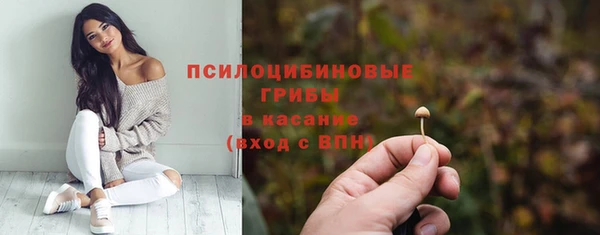 a pvp Белокуриха