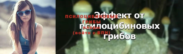дживик Балахна
